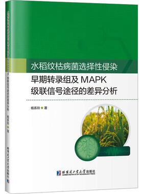 【新华正版】 水稻纹枯病菌选择性侵染早期转录组及MAPK级联信号途径的差异分析 杨系玲 著 哈尔滨工业大学出版社