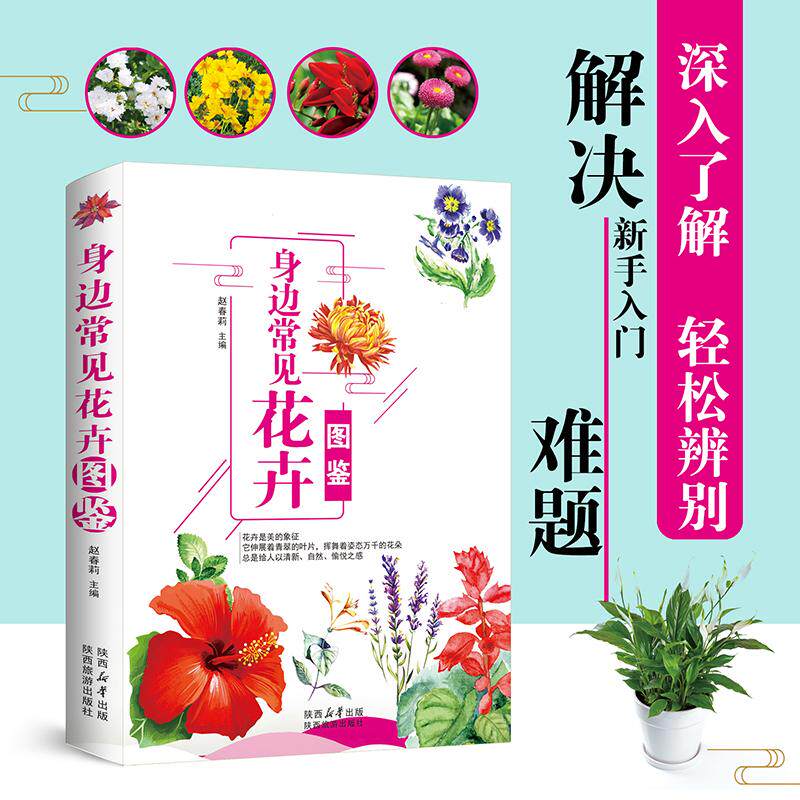 【新华正版】 身边常见花卉图鉴 家庭养花园艺书籍花卉圣经室内植物养花大全的图书籍 家庭养花实用宝典养花书籍种菜书籍 赵春莉