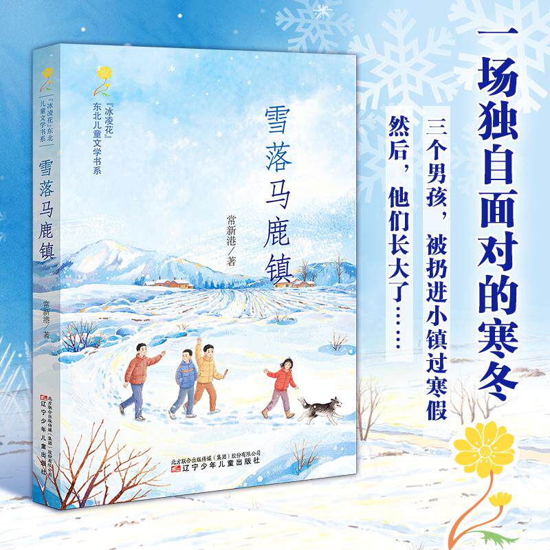【新华正版】 冰凌花 —— 东北儿童文学书系  雪落马鹿镇   “第一次独自生活”的勇气每个年龄都能读出不同滋味少年成长 东北风