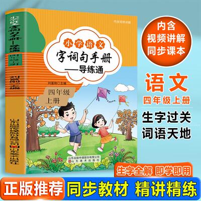 【新华正版】 小学语文字词句手册—导练通（四年上册）内含视频讲解一二三四五六年上册级积累与默写能手字词句段篇手册练习题人