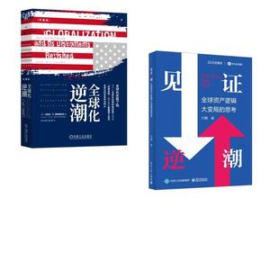 【新华正版】 见证逆潮+全球化逆潮 电子工业出版社等 付鹏 著等