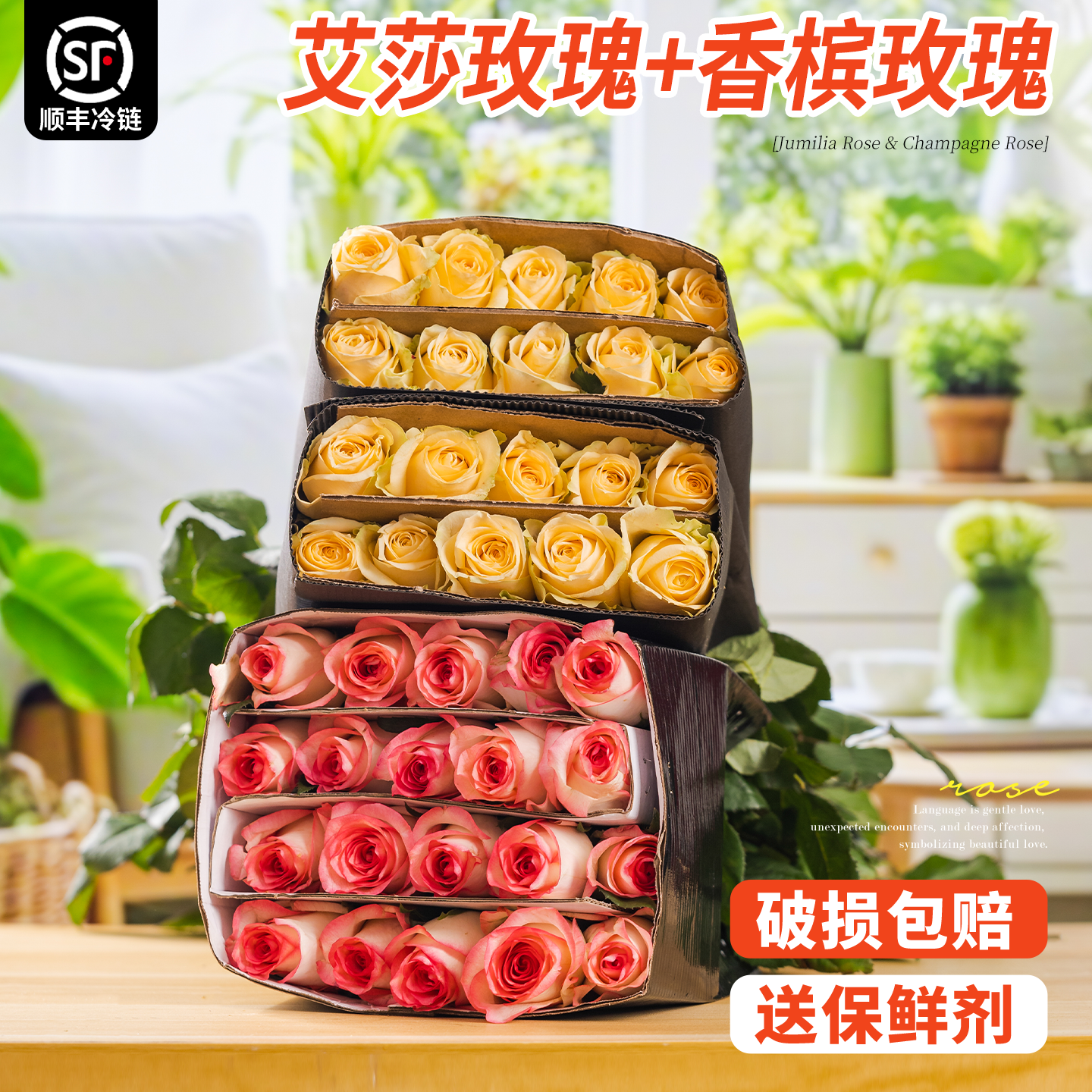 淘花郎特价鲜花百合康乃馨特价