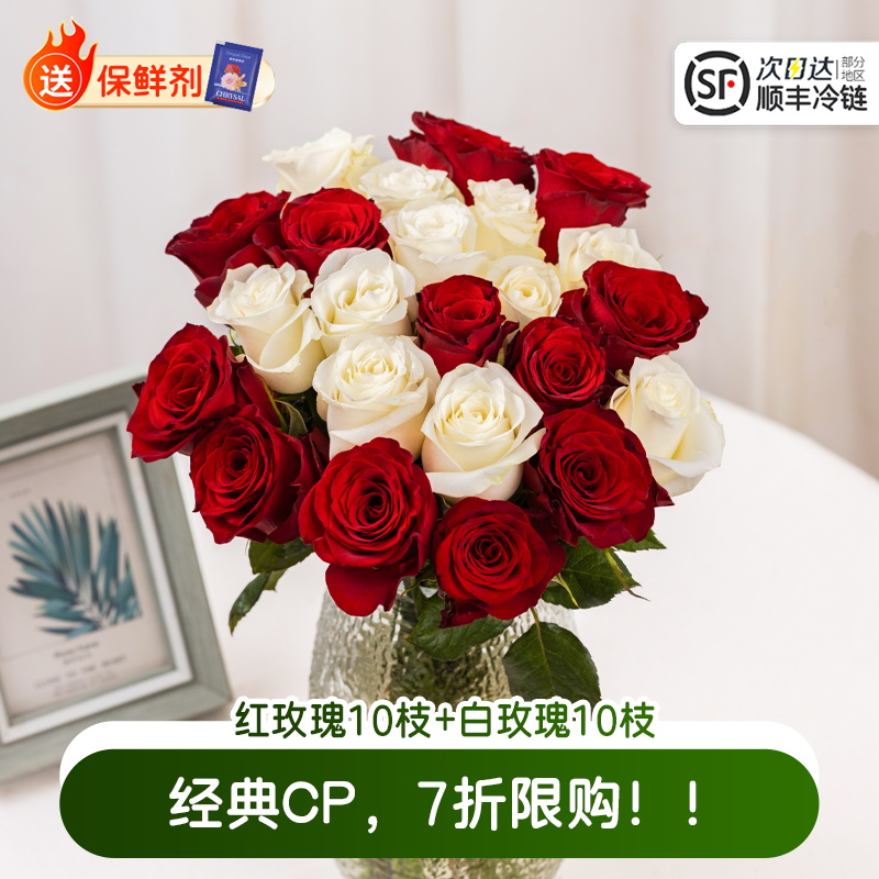 淘花郎鲜花批发红白玫瑰花特价