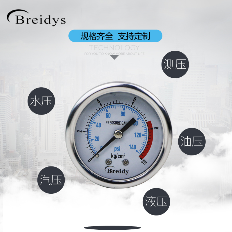 YN50Z压力表轴向耐震不锈钢压力表0-1.6mpa水压气压洗车机表.25mp