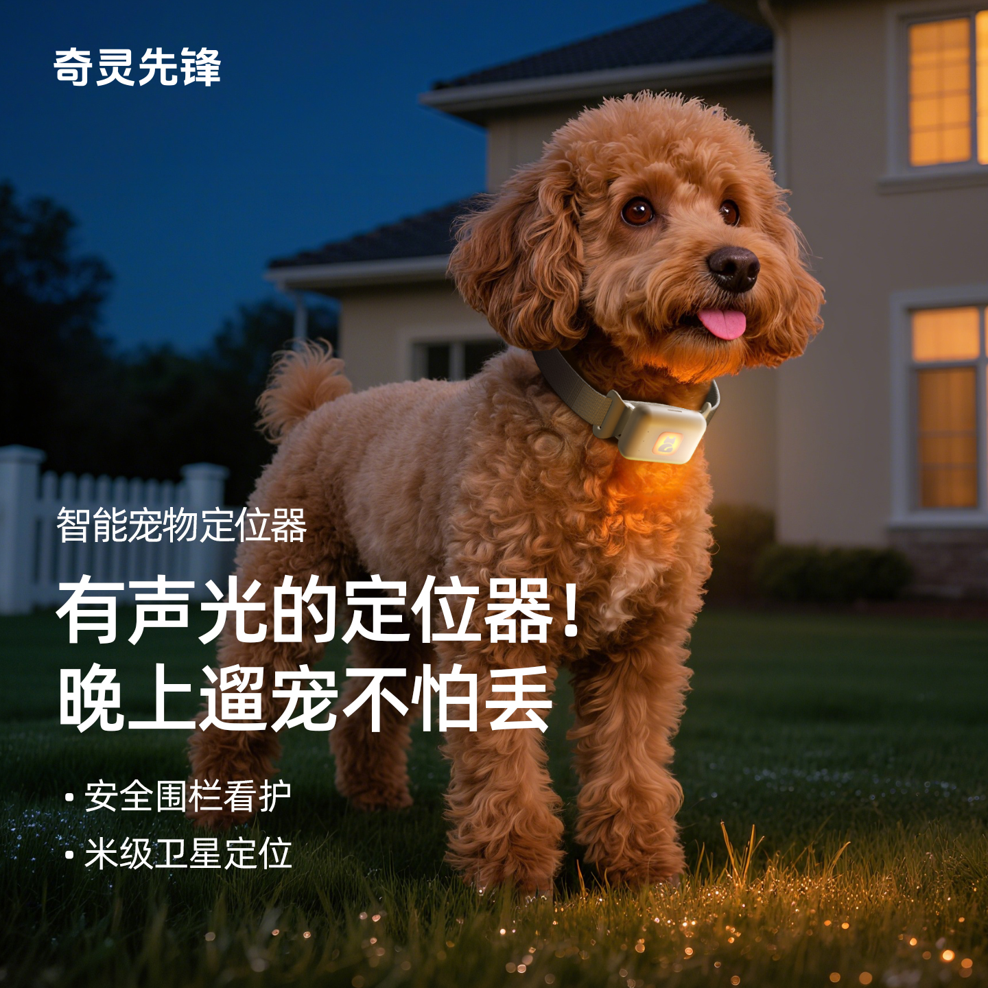【25新款】声光寻宠一键导航定位