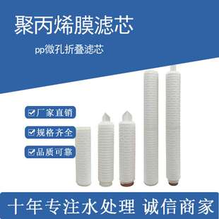 聚丙烯pp微孔折叠滤芯 中低压锅炉水过滤处理 高水通量20寸过滤芯