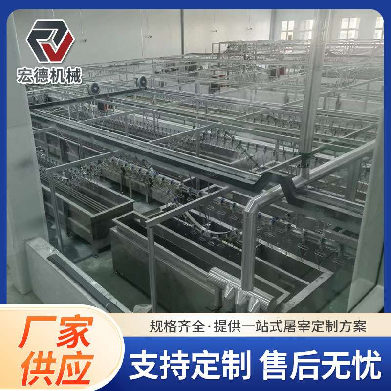 杀鸡杀淘汰蛋鸡预冷设备肉鸡屠宰场设备供应厂家家禽脱毛机商用