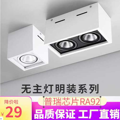 无主灯明装格栅射灯led斗胆灯客厅家用卧室房间长方形射灯双头筒