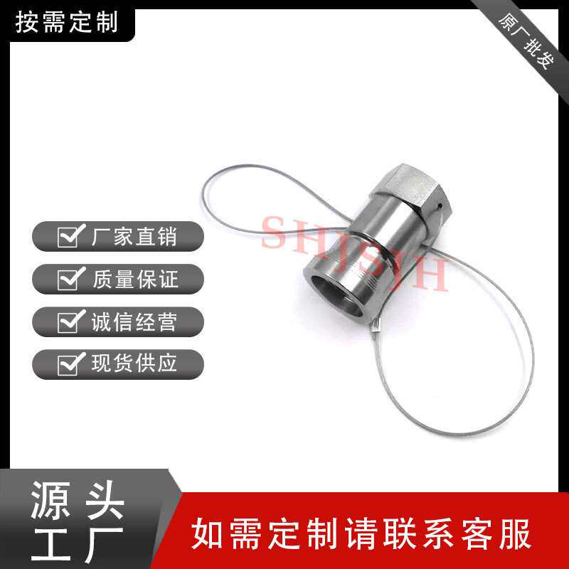 兼容世伟洛克QC4/QC6/QC8仪表快速接头戴绳索管茎母头316L不锈钢