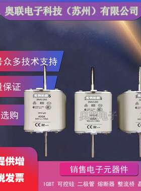 3NA3240 3NA3242 3NA3244 3NA3250熔断器