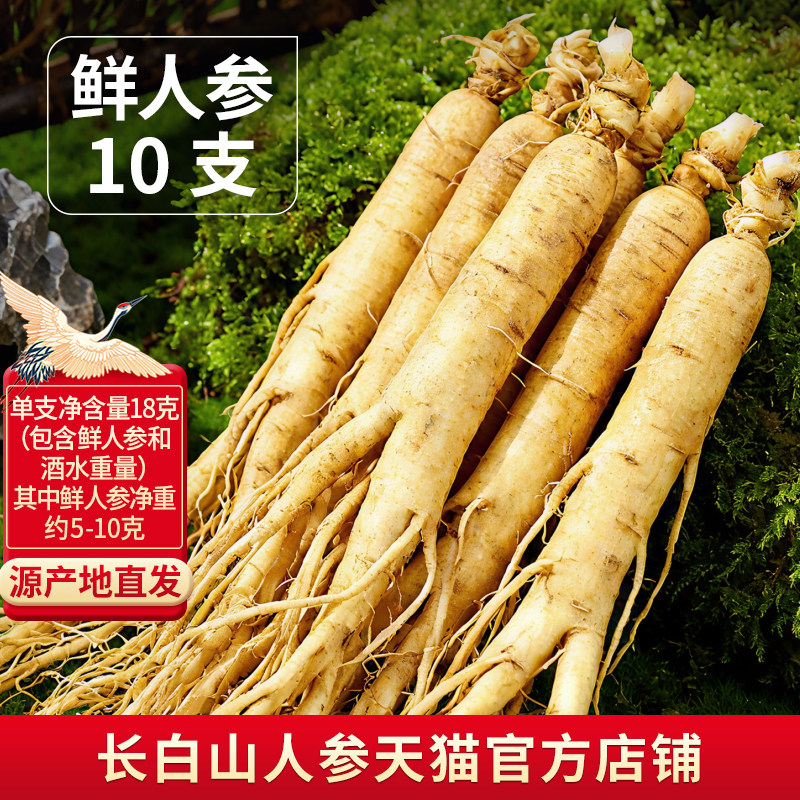 长白山人参鲜人参6-8克保鲜参酒浸鲜参煲汤泡酒材料袋装10支包邮
