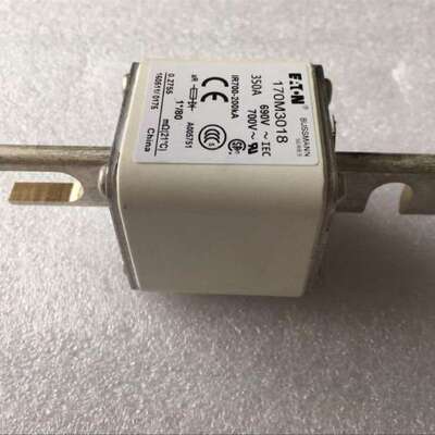 保险管170M3262 170M3263 170M3264 170M3265熔断器BUSSMANN原装