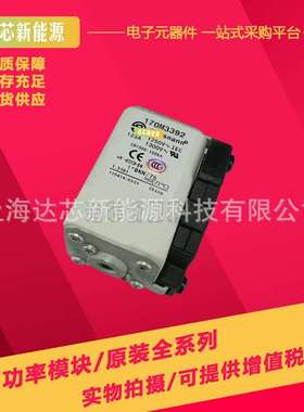 170M3488 170M3489 170M3490 170M3491 170M3492 170M3493熔断器