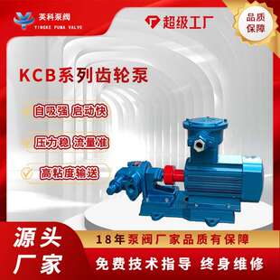 齿轮泵KCB55防爆液压油小型铸铁电动304不锈钢微型涂料齿轮油泵