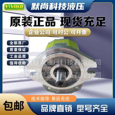 VIVOLO齿轮泵X1P16/17/18/20/21/23/25/27/29/31/32/34/3661BBBA