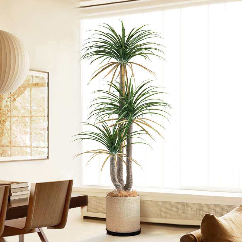 大型仿真绿植盆栽龙须树室内玄关落地装饰花摆件假树植物盆景摆设