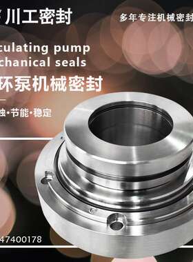 机械密封 ZWQEMD-550-AI-600\ZWQFMZ-600-B1-650 双端面机械轴封