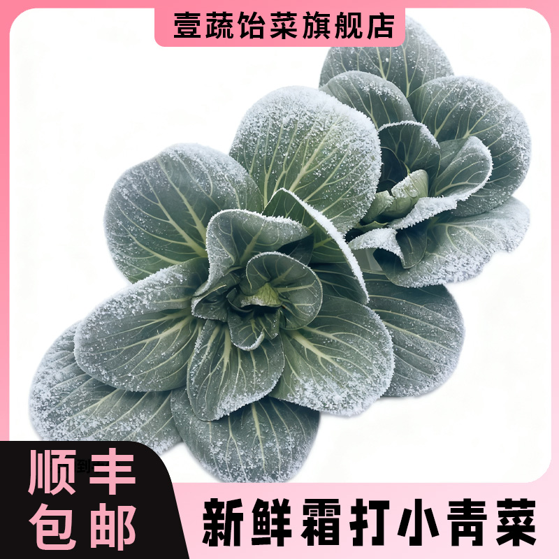 矮脚新鲜霜打蔬菜上海青小青菜冬季霜冻青菜多省满1顺丰件包邮