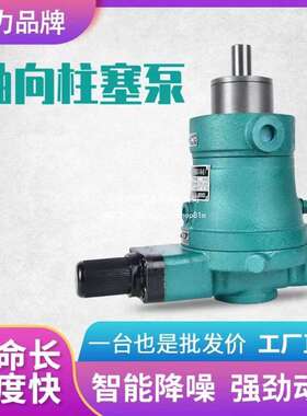 10YCY25YCY32YCY40YCY63YCY80YCY160YCY14-1B自动变量轴向柱塞泵