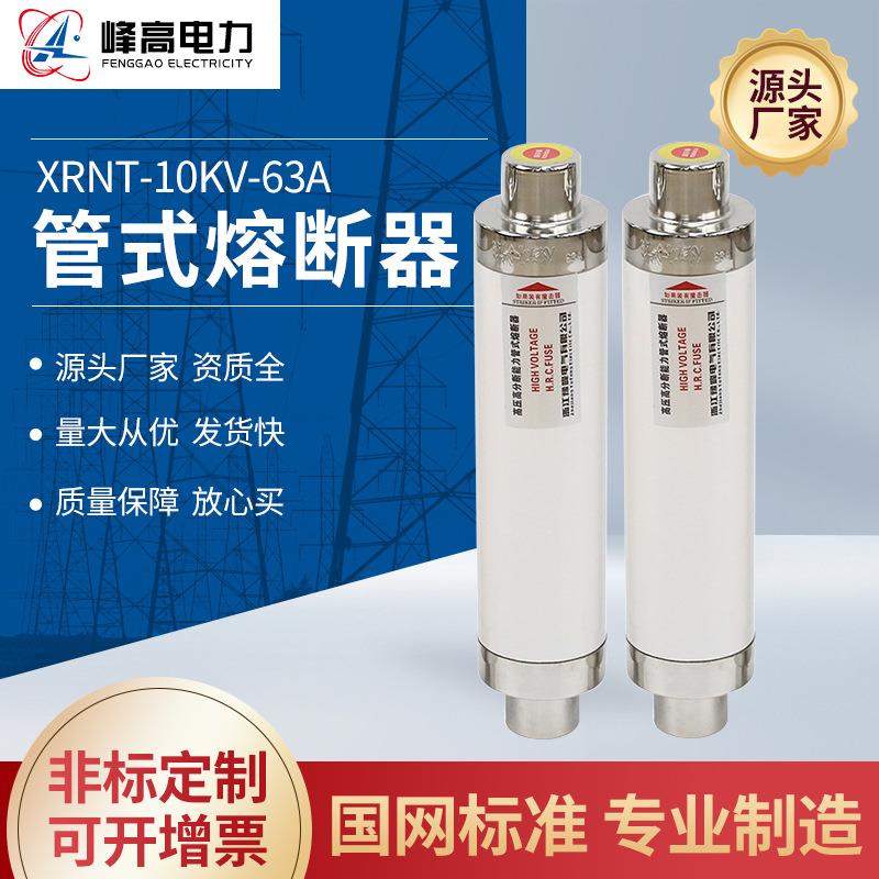 厂家供应高压管式熔断器XRNT-10KV-63A高压交流熔断器互感器防爆