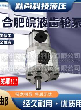 合肥皖液齿轮泵CBQTF-E563/F410 E563/F416 F550/F416-AF双联油泵