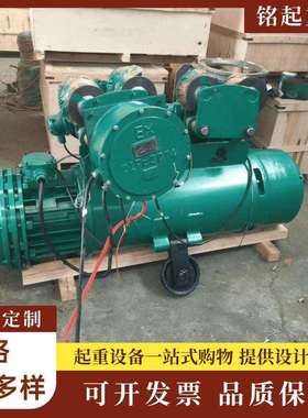 BCD型防爆钢丝绳电动葫芦1吨2吨3吨 BT4防爆 CT4防爆电动葫芦