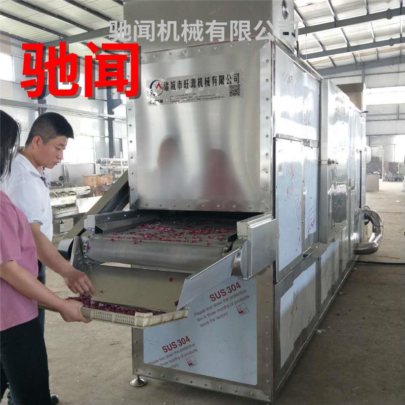 不锈钢连续式烘干设备 橙子片土豆脱水烘干机 隧道式尖椒烘干机