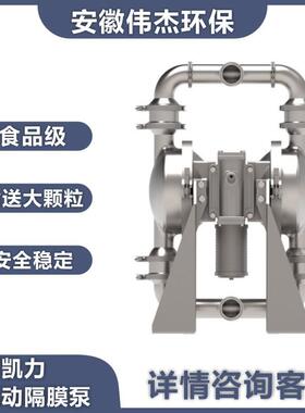 Skylink气动隔膜泵 SF系列食品级泵 固体输送 316L 价格优惠