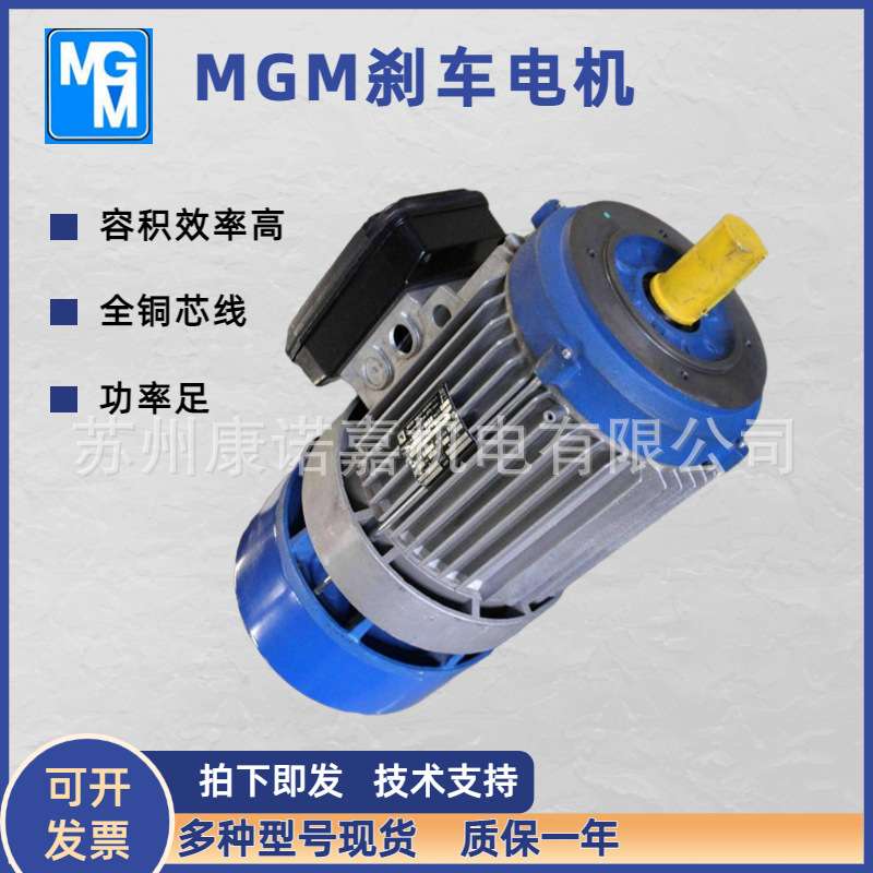 意大利MGM双电容单相电机BA100LB4 偏航电机3.0KW