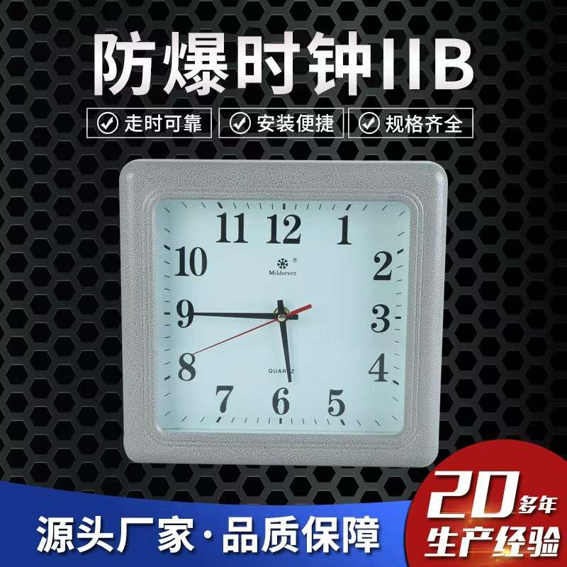 防爆钟表安装便捷规格齐全材质可选防爆时钟ⅡB防爆挂钟