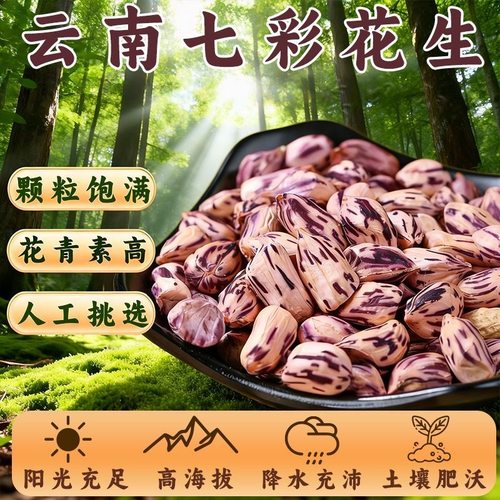云南七彩花生米野地五彩花生仁