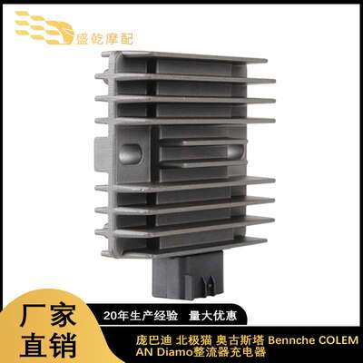 适用庞巴迪 北极猫 奥古斯塔 Bennche COLEMAN Diamo整流器充电器