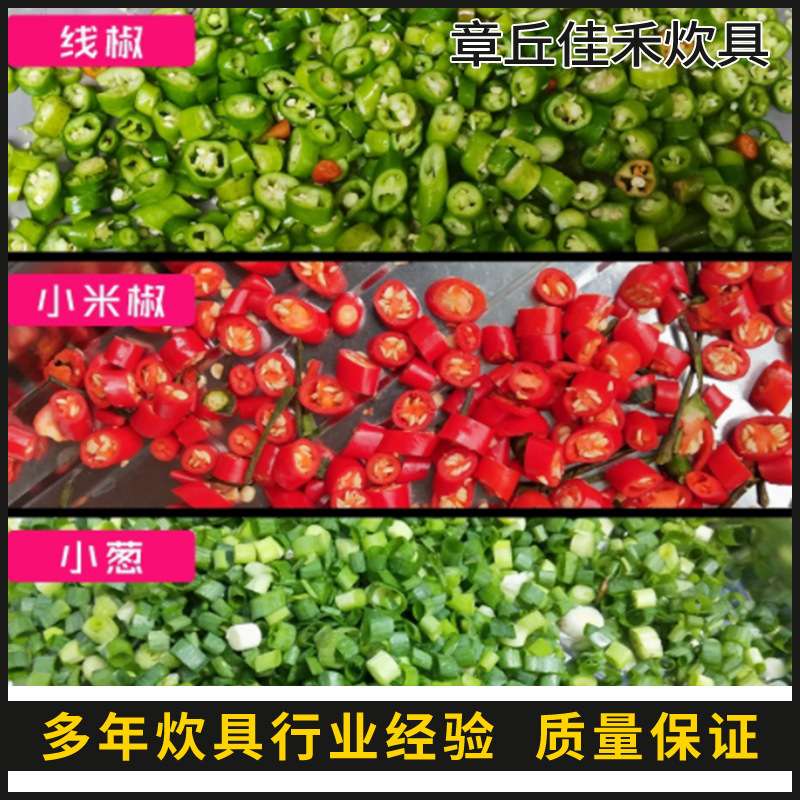 商用自动不锈钢辣椒机小型机械家用电动打碎机小型台式专切辣椒机