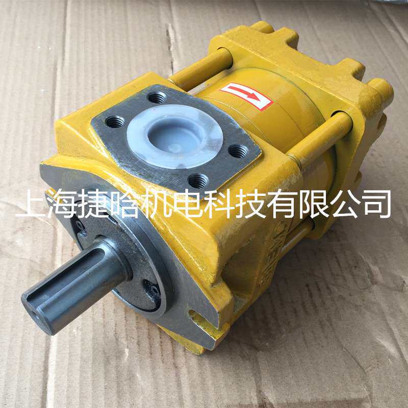 NT2-D10F 低噪音 内啮合齿轮泵 INTERNAL GEAR PUMP 液压油泵