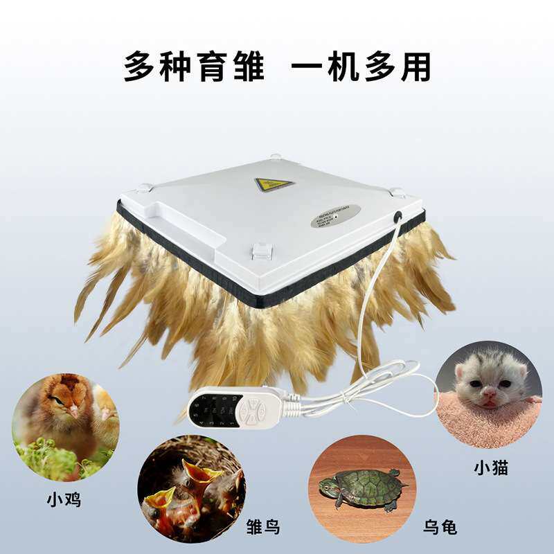 厂家 控温养殖保温设备育雏亭小鸡加热器调温保温板宠物育雏器