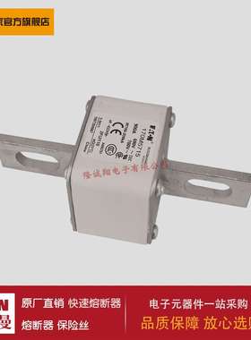 熔断器170M5725 170M5732 170M5733 170M5734 170M5735 170M5751