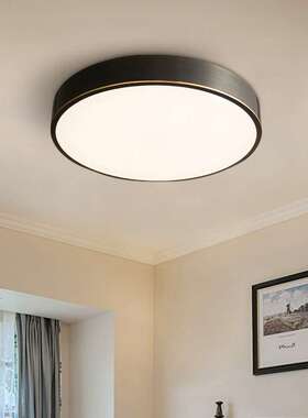 超薄圆形带LED吸顶灯卧室灯简约现代阳台书房全铜客厅灯北欧灯具