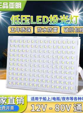 亚明低压LED投光灯12V24V36V48V船用电瓶夜市摆地摊大功率照明灯