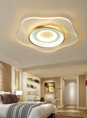 led客厅灯2021年新款海星亚克力灯简约吸顶灯大气 灯具卧室灯