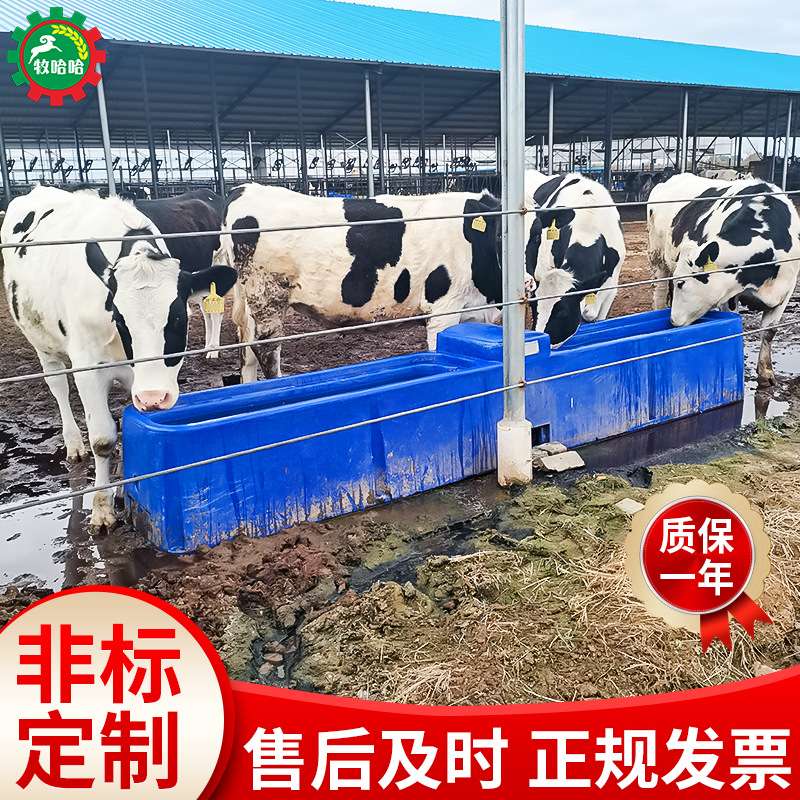 不锈钢方底加厚牛羊恒温饮水槽电加热自动补水加热饮水器全自动