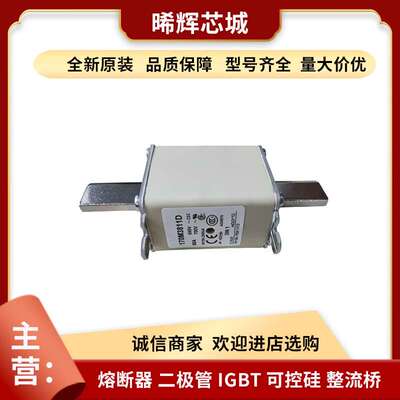 170M3811D 170M3811 巴斯曼低压快速熔断器库存充足 型号齐全现货