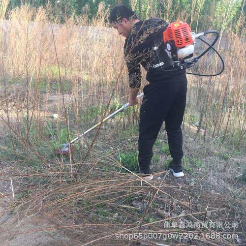 斜跨式割草机 旋转式割草机 大功率四冲程割草机