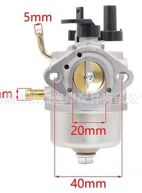 百利通化油器 扫雪机 Briggs & Stratton 801396 801255 801233