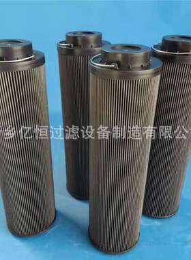 GT198-16-AV-1um 油净化装置入口滤芯过滤滤芯 GT198-16-CV-6um