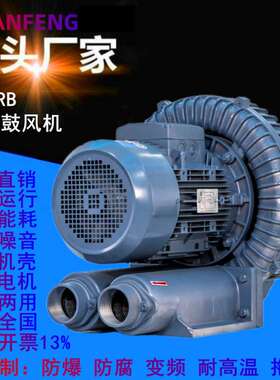 RB-022 1.5kw高压防爆鼓风机 防爆型高压风机BT4 CT4防爆风机厂家