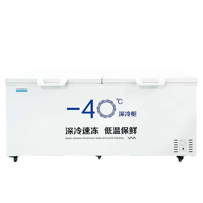 零下40低温柜速冻柜冰柜卧式商用大容量冷柜全冷冻柜单温冷柜