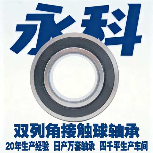 5310 5311 5312 5313 5314 5315 5316 5317 5318 5320 M 2RS 轴承