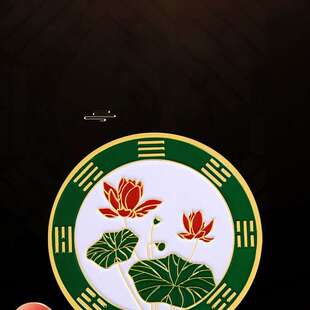 卫生间厕所荷花图厨房青龙贴在西北方大门对门金属牌污口净秽牌饰