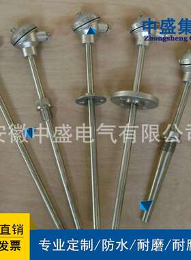 中盛仪表铠装热电阻WZPK-398 L1*L2=400*150