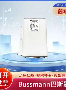 熔断器170M2016 170M2017 170M2018 170M2019 170M2020 170M2021